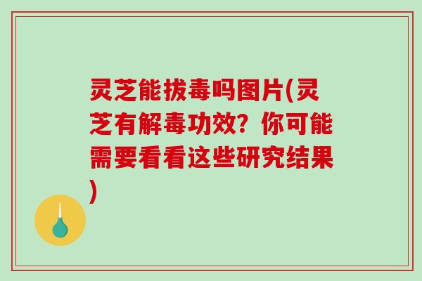 灵芝能拔毒吗图片(灵芝有解毒功效？你可能需要看看这些研究结果)