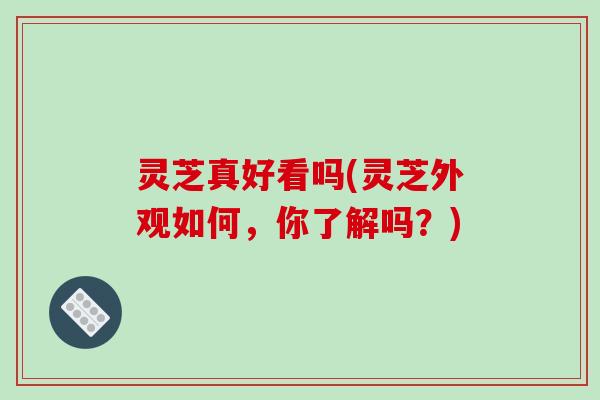 灵芝真好看吗(灵芝外观如何，你了解吗？)