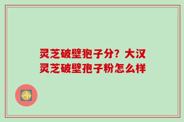灵芝破壁狍子分？大汉灵芝破壁孢子粉怎么样