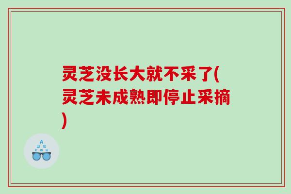 灵芝没长大就不采了(灵芝未成熟即停止采摘)