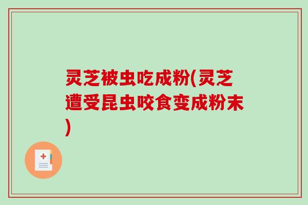 灵芝被虫吃成粉(灵芝遭受昆虫咬食变成粉末)