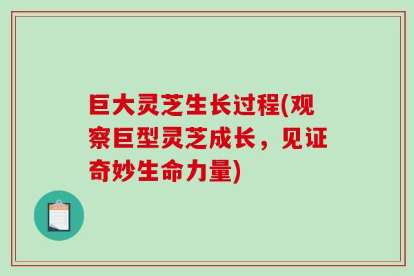 巨大灵芝生长过程(观察巨型灵芝成长，见证奇妙生命力量)