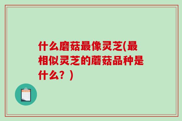 什么磨菇最像灵芝(最相似灵芝的蘑菇品种是什么？)