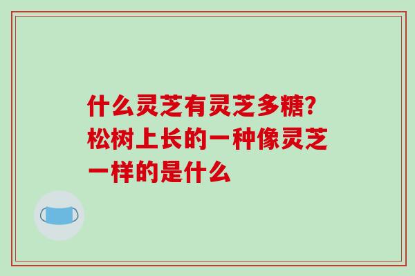 什么灵芝有灵芝多糖？松树上长的一种像灵芝一样的是什么