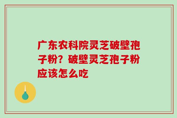 广东农科院灵芝破壁孢子粉？破壁灵芝孢子粉应该怎么吃