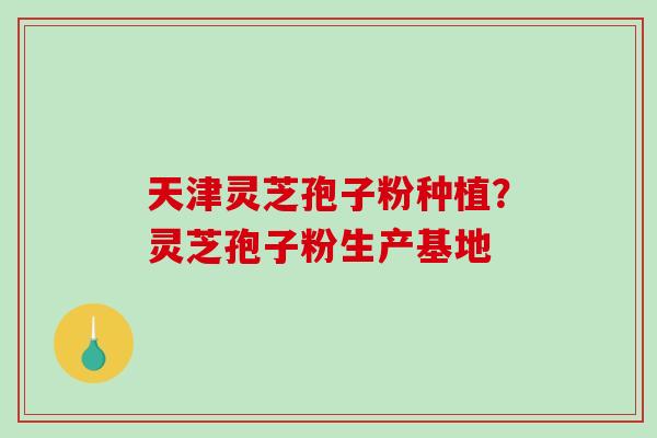 天津灵芝孢子粉种植？灵芝孢子粉生产基地
