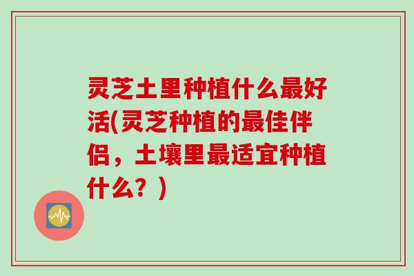 灵芝土里种植什么好活(灵芝种植的佳伴侣，土壤里适宜种植什么？)