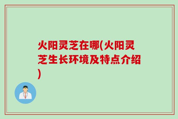 火阳灵芝在哪(火阳灵芝生长环境及特点介绍)