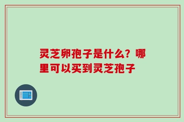灵芝卵孢子是什么？哪里可以买到灵芝孢子