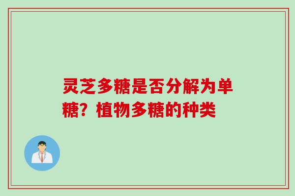 灵芝多糖是否分解为单糖？植物多糖的种类