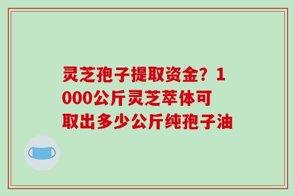 灵芝孢子提取资金？1000公斤灵芝萃体可取出多少公斤纯孢子油