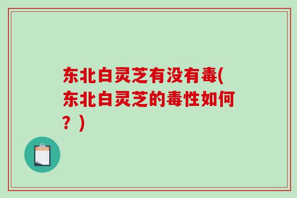 东北白灵芝有没有毒(东北白灵芝的毒性如何？)