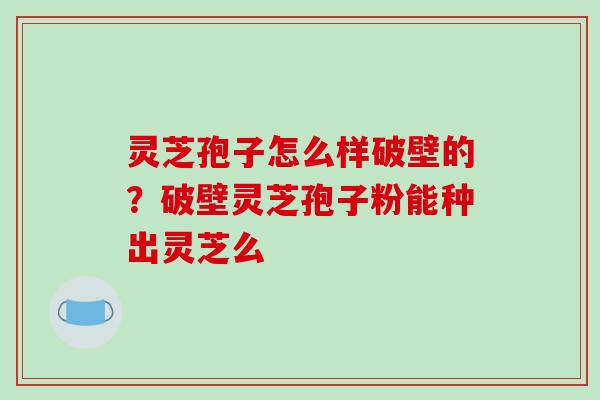 灵芝孢子怎么样破壁的？破壁灵芝孢子粉能种出灵芝么