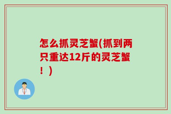 怎么抓灵芝蟹(抓到两只重达12斤的灵芝蟹！)