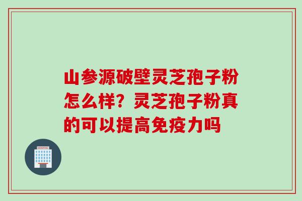 山参源破壁灵芝孢子粉怎么样？灵芝孢子粉真的可以提高免疫力吗