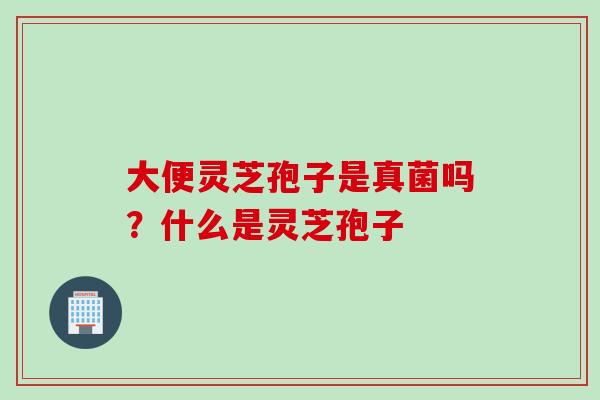大便灵芝孢子是真菌吗？什么是灵芝孢子