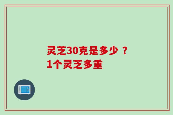 灵芝30克是多少 ？1个灵芝多重
