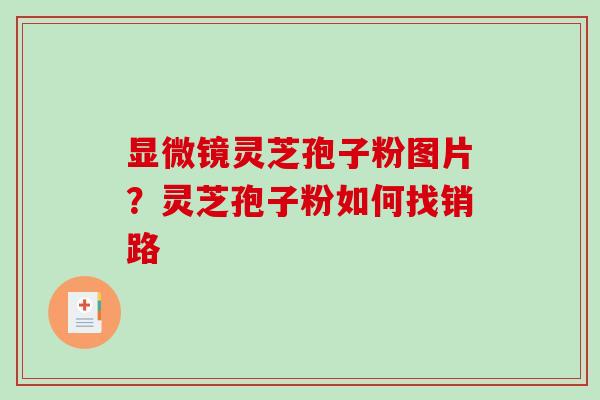 显微镜灵芝孢子粉图片？灵芝孢子粉如何找销路