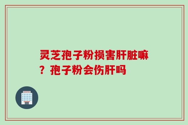 灵芝孢子粉损害嘛？孢子粉会伤吗