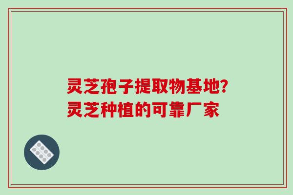 灵芝孢子提取物基地？灵芝种植的可靠厂家