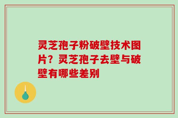 灵芝孢子粉破壁技术图片？灵芝孢子去壁与破壁有哪些差别