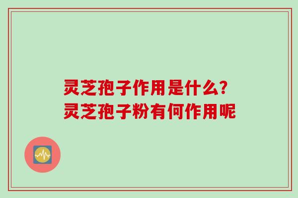灵芝孢子作用是什么？灵芝孢子粉有何作用呢