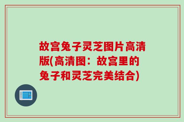 故宫兔子灵芝图片高清版(高清图：故宫里的兔子和灵芝完美结合)