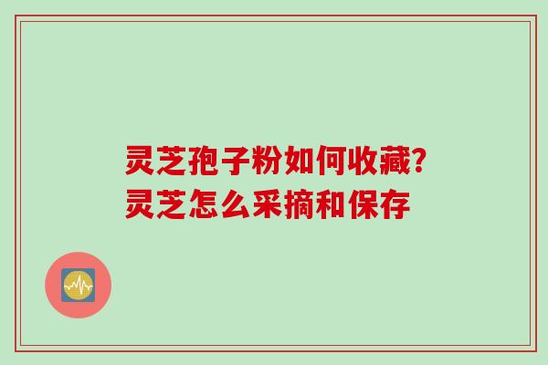 灵芝孢子粉如何收藏？灵芝怎么采摘和保存