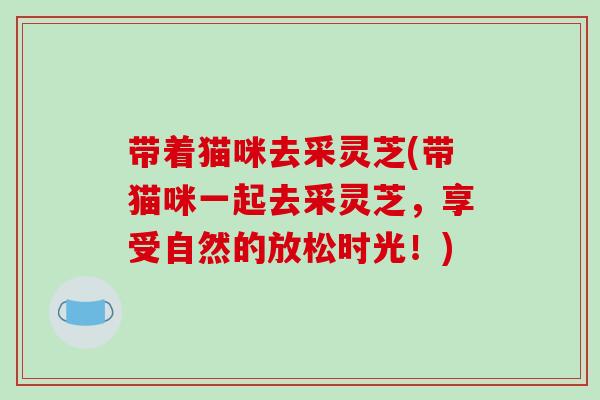 带着猫咪去采灵芝(带猫咪一起去采灵芝，享受自然的放松时光！)