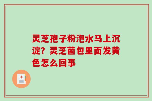 灵芝孢子粉泡水马上沉淀？灵芝菌包里面发黄色怎么回事