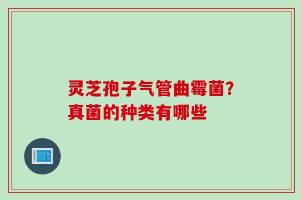 灵芝孢子气管曲霉菌？真菌的种类有哪些