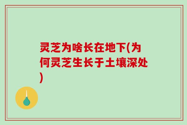 灵芝为啥长在地下(为何灵芝生长于土壤深处)