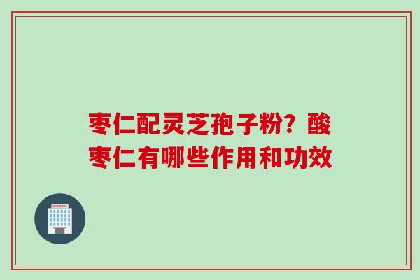 枣仁配灵芝孢子粉？酸枣仁有哪些作用和功效