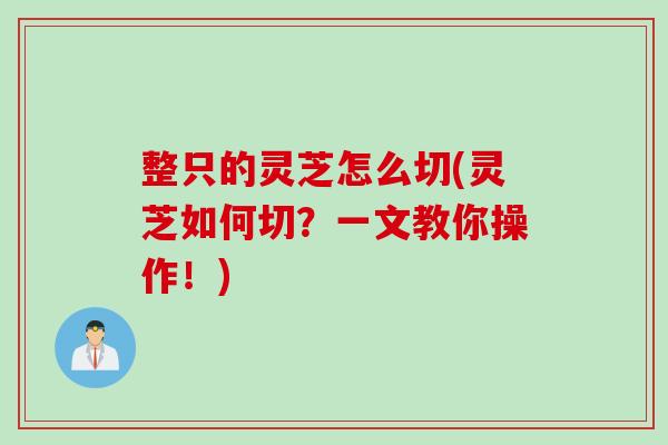 整只的灵芝怎么切(灵芝如何切?一文教你操作!) 整只的灵芝怎么切(灵芝如何切?一文教你操作!)