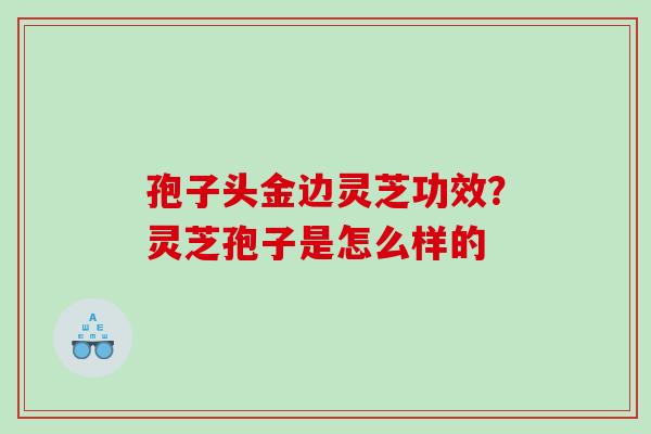 孢子头金边灵芝功效？灵芝孢子是怎么样的