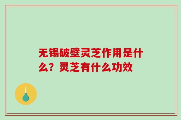 无锡破壁灵芝作用是什么？灵芝有什么功效