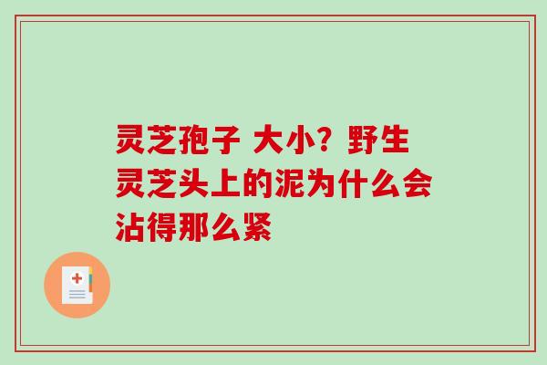 灵芝孢子 大小？野生灵芝头上的泥为什么会沾得那么紧