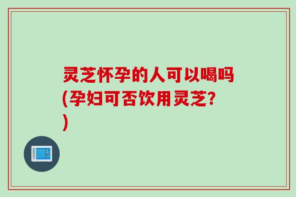 灵芝怀孕的人可以喝吗(孕妇可否饮用灵芝？)