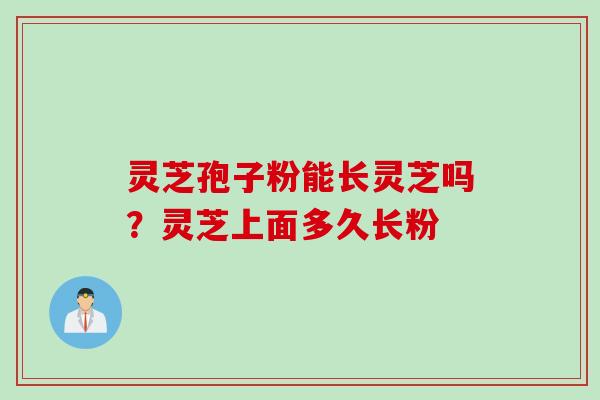 灵芝孢子粉能长灵芝吗？灵芝上面多久长粉