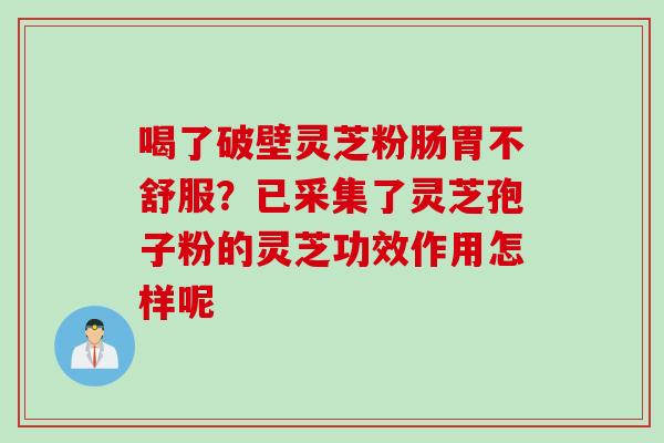 喝了破壁灵芝粉肠胃不舒服？已采集了灵芝孢子粉的灵芝功效作用怎样呢