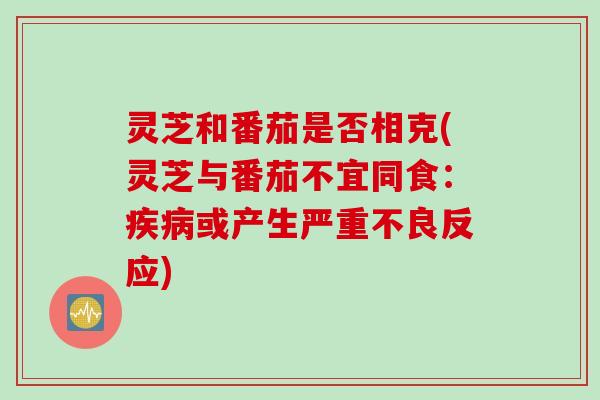 灵芝和番茄是否相克(灵芝与番茄不宜同食：疾病或产生严重不良反应)