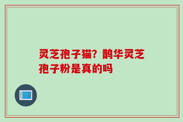 灵芝孢子猫?鹊华灵芝孢子粉是真的吗 灵芝孢子猫?鹊华灵芝孢子粉是真的吗