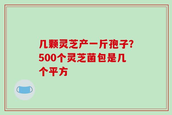 几颗灵芝产一斤孢子？500个灵芝菌包是几个平方