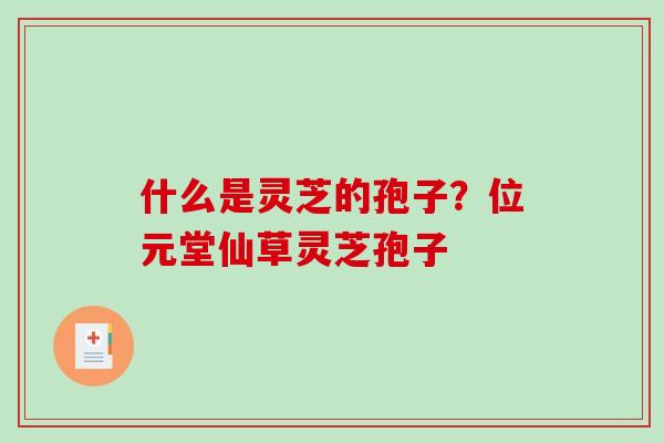 什么是灵芝的孢子？位元堂仙草灵芝孢子