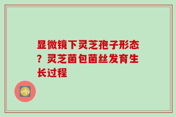 显微镜下灵芝孢子形态？灵芝菌包菌丝发育生长过程