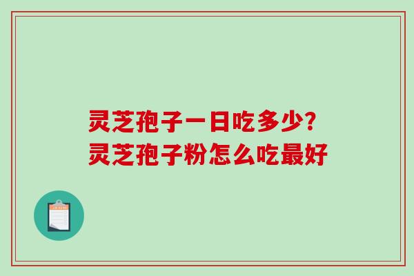 灵芝孢子一日吃多少？灵芝孢子粉怎么吃最好