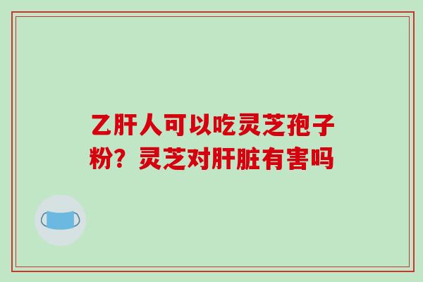乙肝人可以吃灵芝孢子粉？灵芝对肝脏有害吗