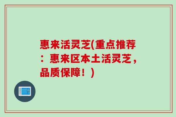惠来活灵芝(重点推荐：惠来区本土活灵芝，品质保障！)