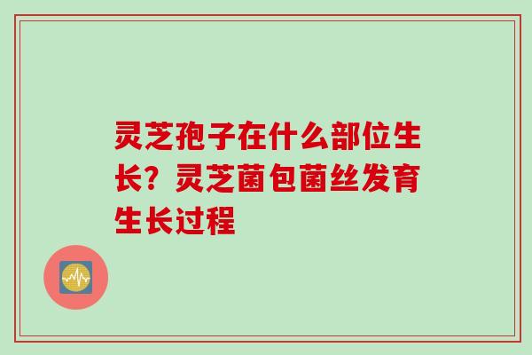 灵芝孢子在什么部位生长？灵芝菌包菌丝发育生长过程