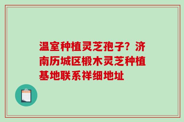 温室种植灵芝孢子？济南历城区椴木灵芝种植基地联系祥细地址